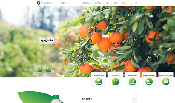 Bornagro.ge Created by Smart Web